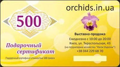 Подарунковий сертифікат «500»