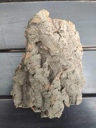 Блок для орхідей з кори пробкового дуба, 150 г ~H17 W14