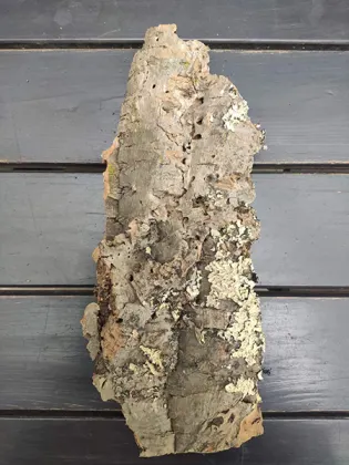 Блок для орхідей з кори пробкового дуба, 250 г ~H28 W13