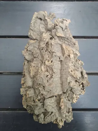 Блок для орхідей з кори пробкового дуба, 180 г ~H28 W19
