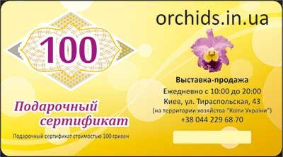 Подарунковий сертифікат «100»