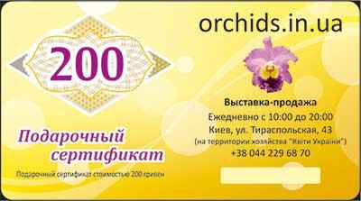 Подарунковий сертифікат «200»