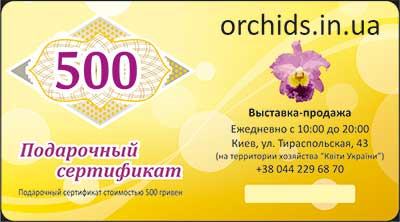 Подарунковий сертифікат «500»