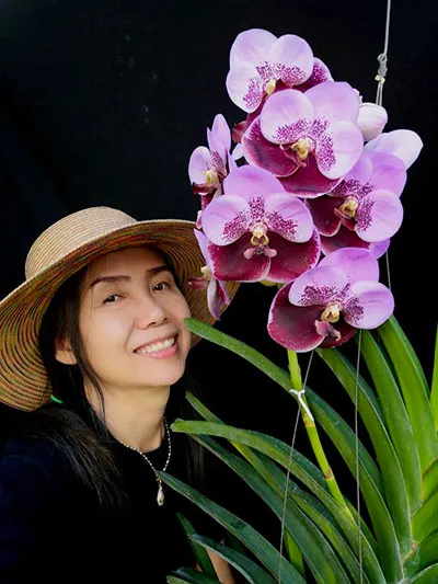 Vanda Thonglor Sand  x Taweesuksa