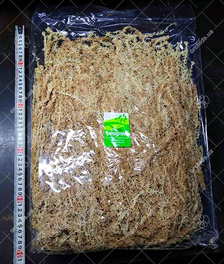 Мох сфагнум новозеландский Besgrow Spagmoss Premium,100 г