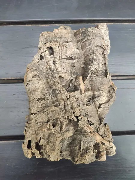 Блок для орхідей з кори пробкового дуба, 170 г ~H18 W16