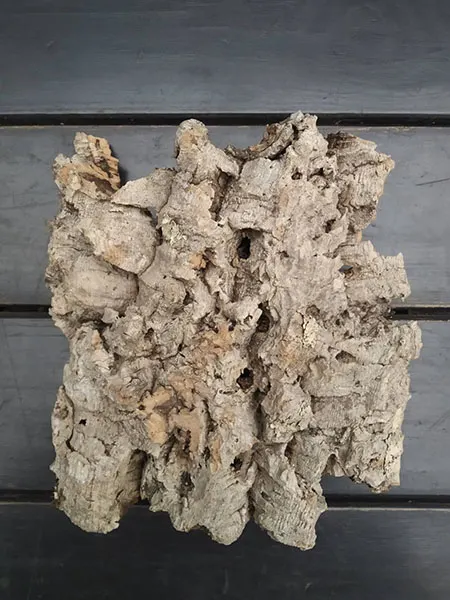 Блок для орхідей з кори пробкового дуба, 200 г ~ H18 W23
