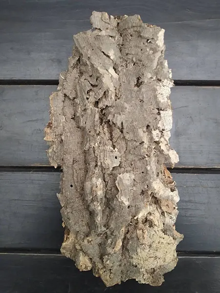 Блок для орхідей з кори пробкового дуба, 270 г ~ H28 W15