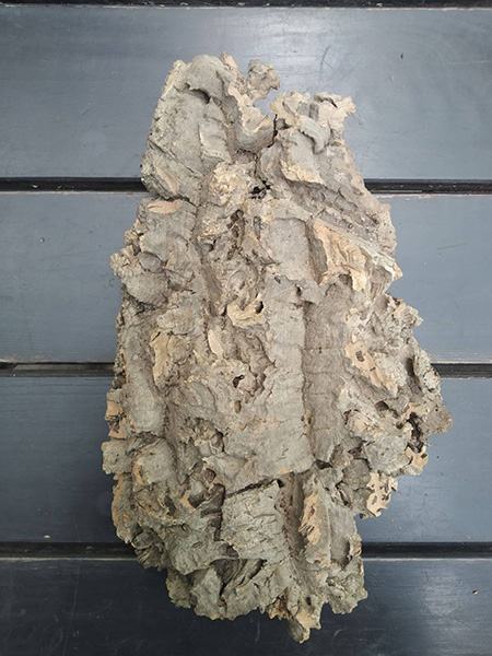 Блок для орхідей з кори пробкового дуба, 180 г ~H28 W19