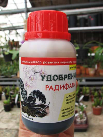 Корни орхидей