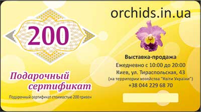 Подарунковий сертифікат «200»